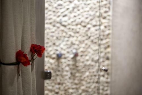 Hotel Sombra E �gua Fresca