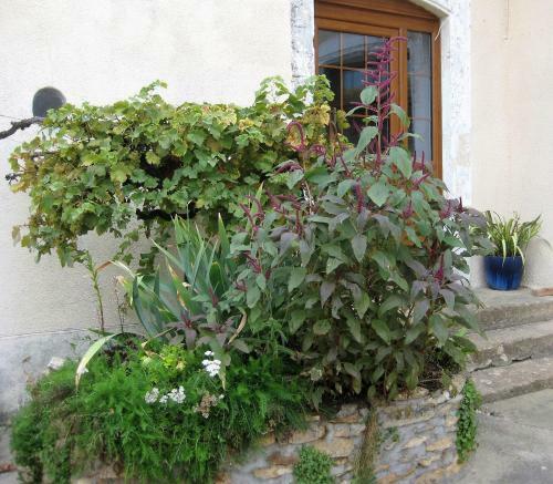 Bed & Breakfast Chambre D'h�tes Oiron