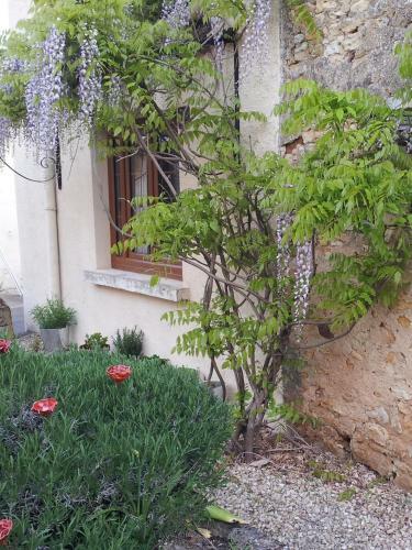 Bed & Breakfast Chambre D'h�tes Oiron