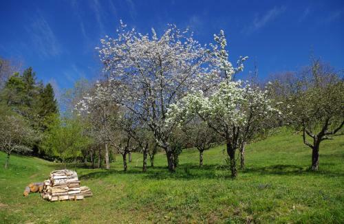 G�tes Du Hameau Baylesse