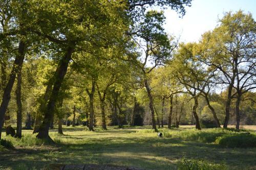Bed & Breakfast Le Domaine de Lugazaut