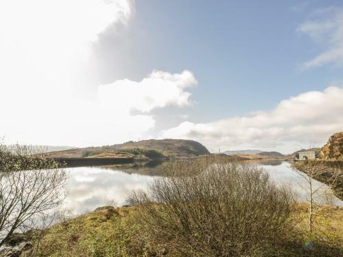 Bryn Alun