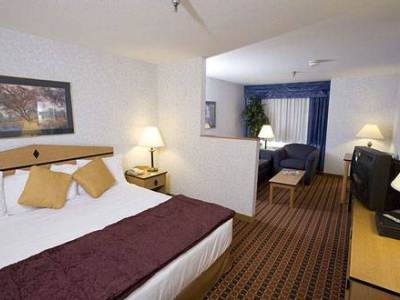 Hotel Crystal Inn Downtown