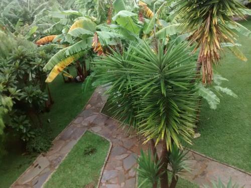 Hostal Pousada Banana Cip�