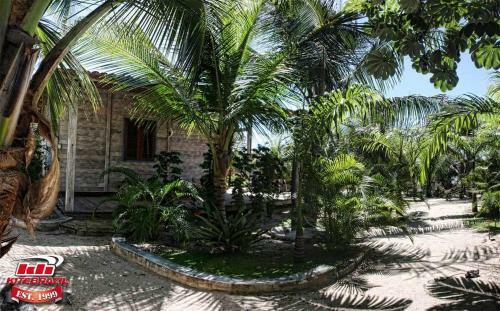 Kite Brazil Hotel