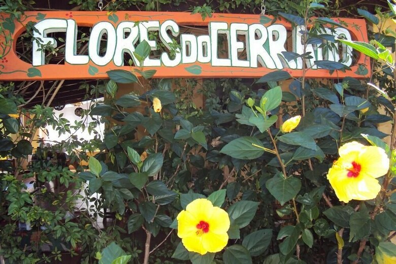 Hostal Pousada Flores Do Cerrado