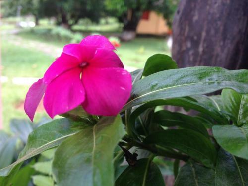 �guas Vivas Hotel Fazenda