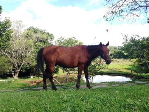 �guas Vivas Hotel Fazenda