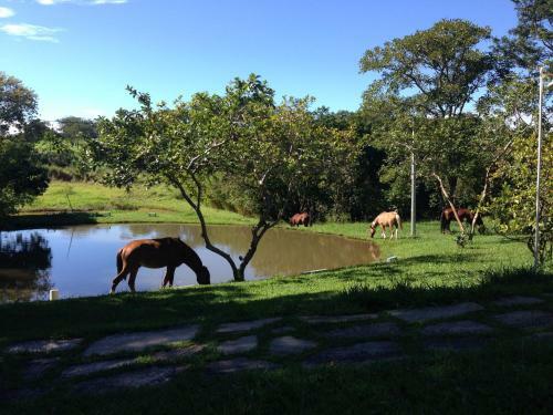 �guas Vivas Hotel Fazenda