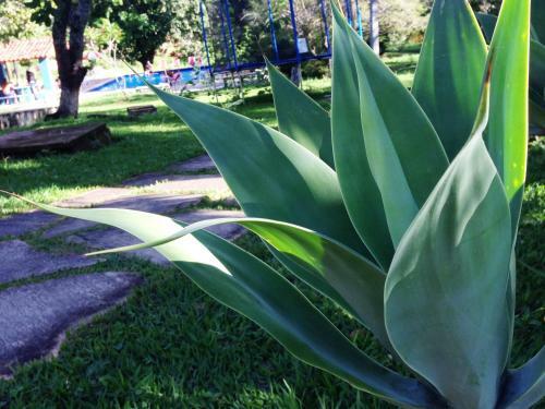 �guas Vivas Hotel Fazenda