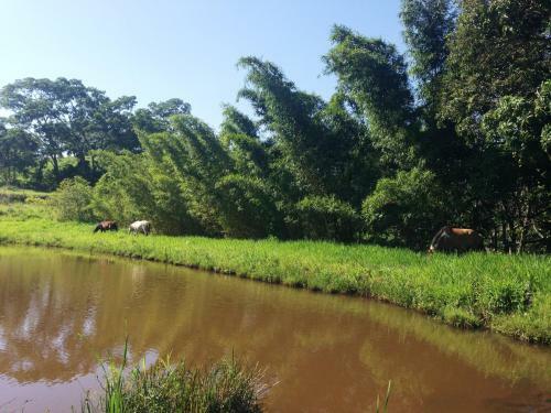 �guas Vivas Hotel Fazenda