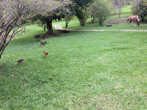 �guas Vivas Hotel Fazenda