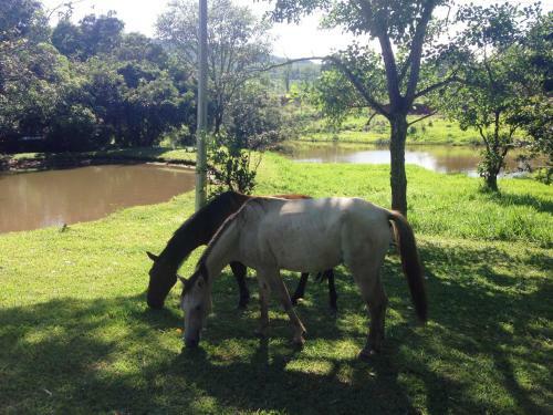 �guas Vivas Hotel Fazenda
