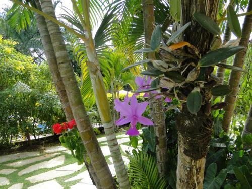 Hostal Pousada Villa Mariana