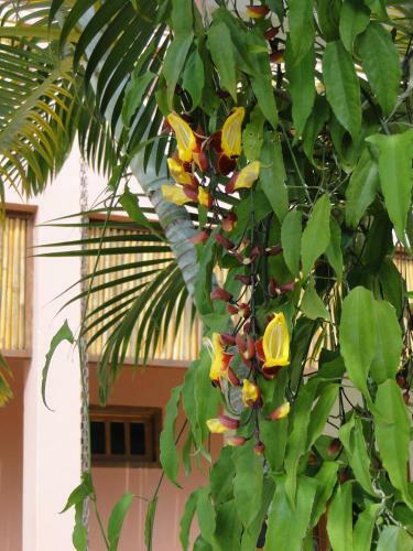 Hostal Pousada Villa Mariana