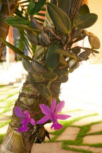 Hostal Pousada Villa Mariana