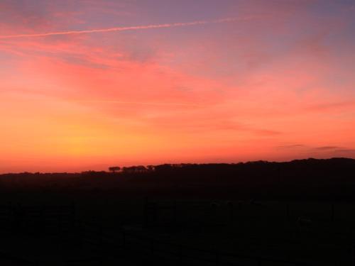 Higher Forda, Holsworthy