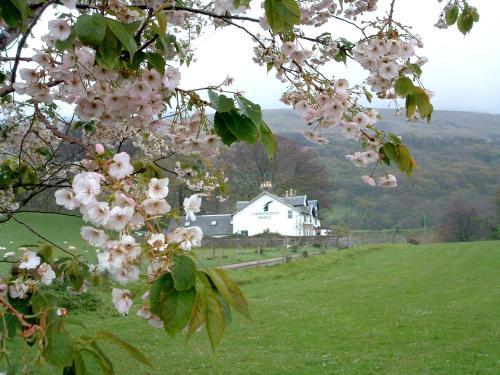 Colintraive Hotel