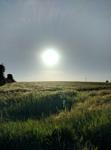 Apartamento Coach Road Cottages