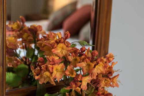 Bed & Breakfast Pennygate Lodge