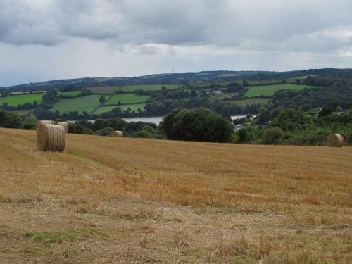 The Meadow, Feock