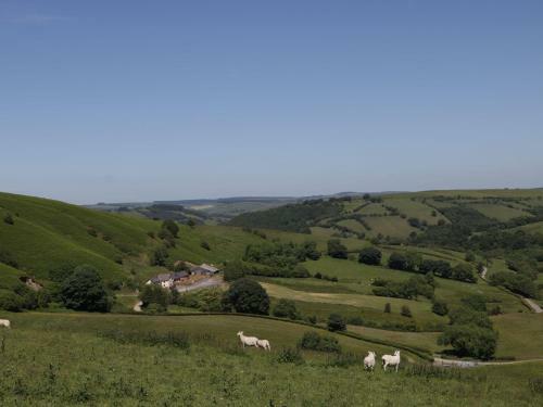 Maesgwyn, Knighton