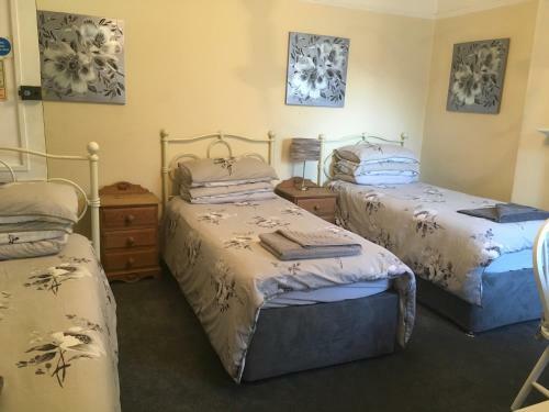 Hostal The Oak Tree Guest House