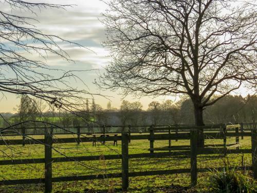 Appletree Cottage Fressingfield