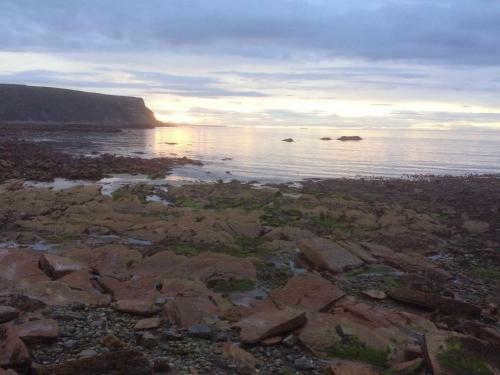 40 Crovie