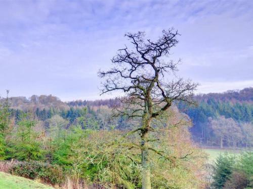 Holiday Home Hutton