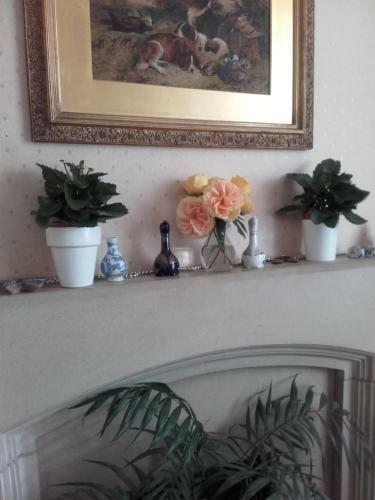 Bed & Breakfast Manor Lodge Guesthouse