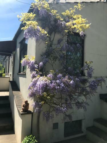 Bed & Breakfast Manor Lodge Guesthouse