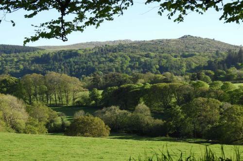 Tor View