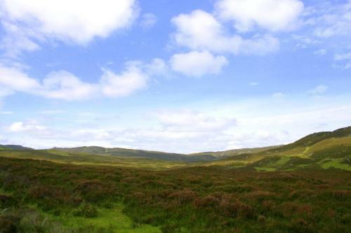 Hostal The Strathardle Inn