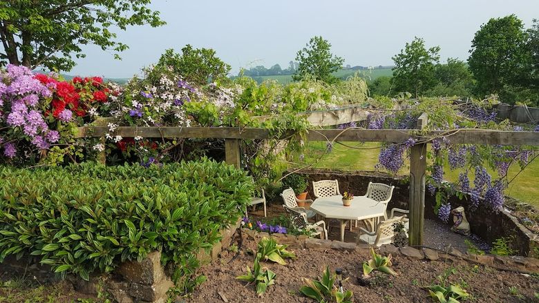Bed & Breakfast Lowerfield House