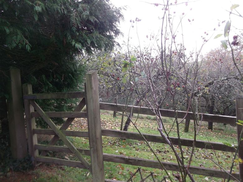Bed & Breakfast Lowerfield House