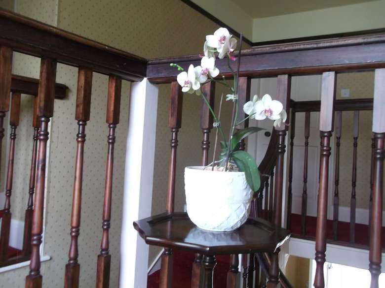 Bed & Breakfast Lowerfield House