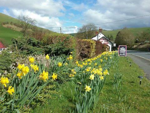 Bed & Breakfast The Red Lion Inn