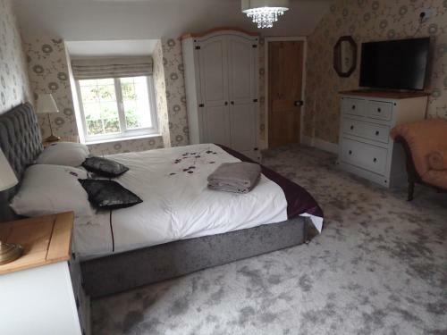 Bed & Breakfast Dol Llan Mansion