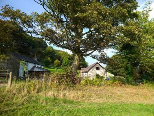 Boffins Barn At Pen Isa Cwm