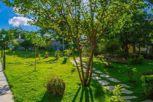 Hostal Chal�s Terraviva