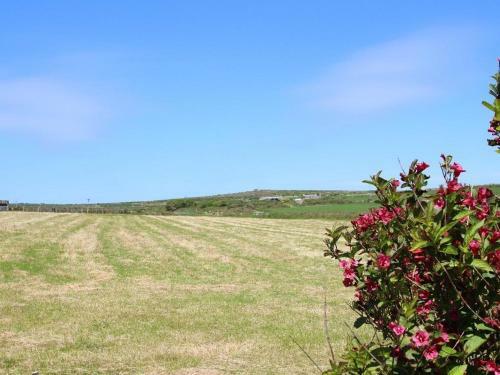 Carne Vue, Penzance
