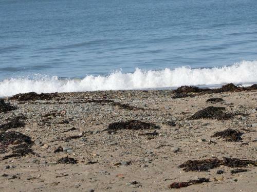 1st Floor Flat At Wylfa, Rhosneigr