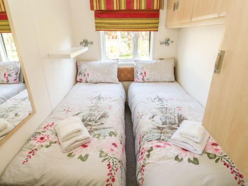 12 Bullrush, Lincoln
