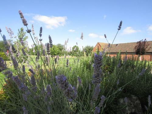 Bed & Breakfast Home Farm Boreham