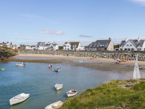 Y Nyth
