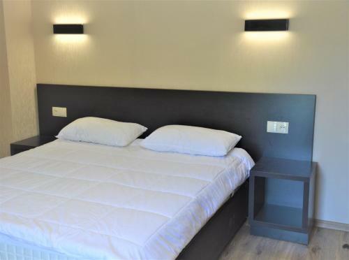 Brand New Apartment In Bakuriani