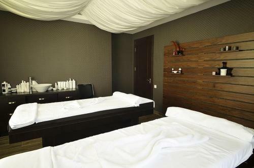 Brand New Apartment In Bakuriani