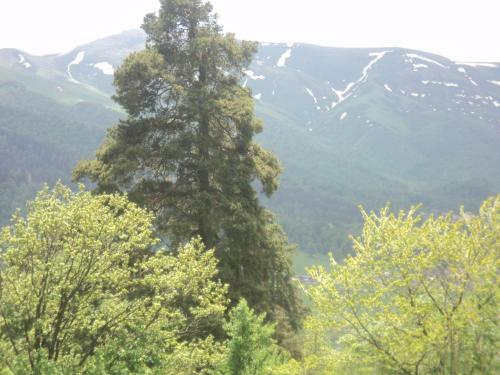 Apartamento Villa Monte Bakuriani