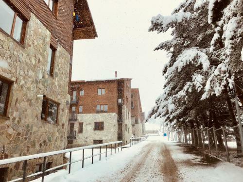 Apartamento The Nest In Bakuriani